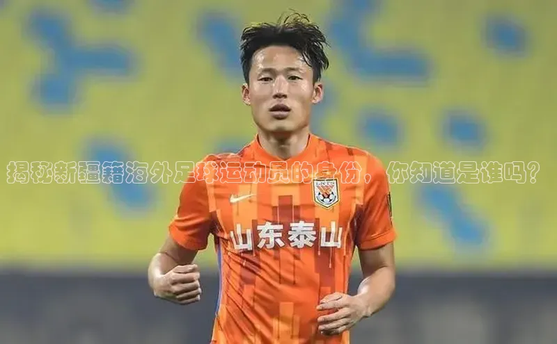 沐鸣2登录测速宣亚国际