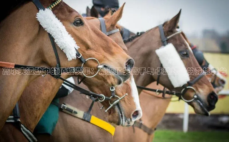 沐鸣2注册登录地址