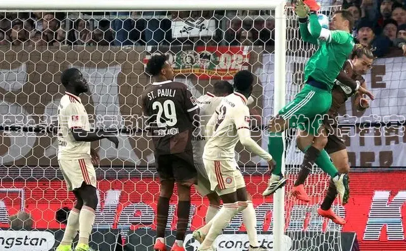 沐鸣2手机网页版